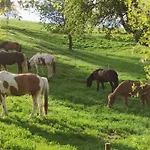 Biobetrieb Lippenhof Gospodarstwo agroturystyczne Breitnau