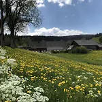 Gospodarstwo agroturystyczne Biobetrieb Lippenhof Breitnau
