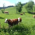 Biobetrieb Lippenhof *