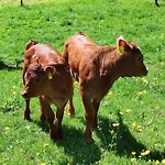 Biobetrieb Lippenhof Breitnau
