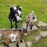 Biobetrieb Lippenhof Gospodarstwo agroturystyczne *