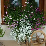 Gospodarstwo agroturystyczne Biobetrieb Lippenhof *