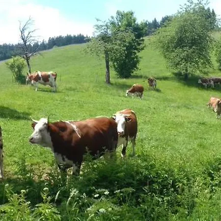 Alojamento de Turismo Rural Biobetrieb Lippenhof Breitnau