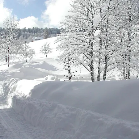 Biobetrieb Lippenhof * Breitnau