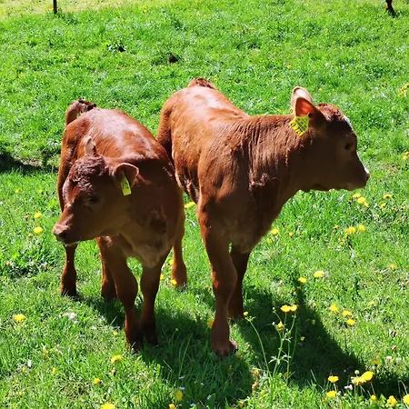 Alojamento de Turismo Rural Biobetrieb Lippenhof
