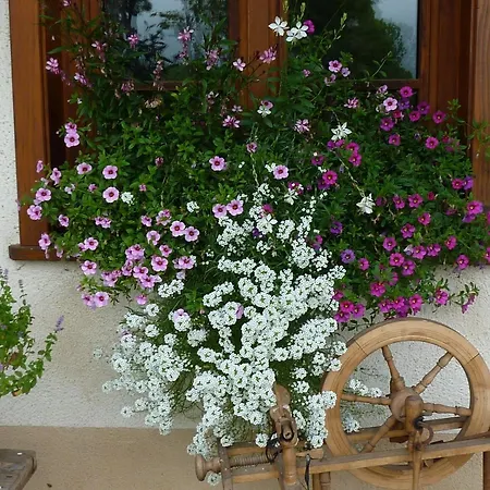 Biobetrieb Lippenhof Alojamento de Turismo Rural *