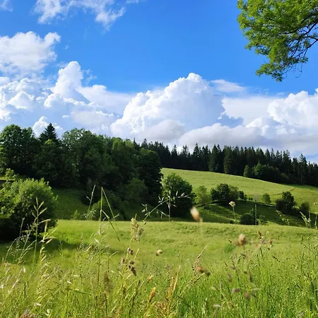 Alojamento de Turismo Rural Biobetrieb Lippenhof Breitnau