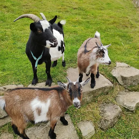 Biobetrieb Lippenhof *