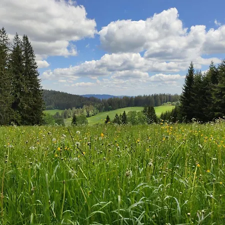 Biobetrieb Lippenhof *
