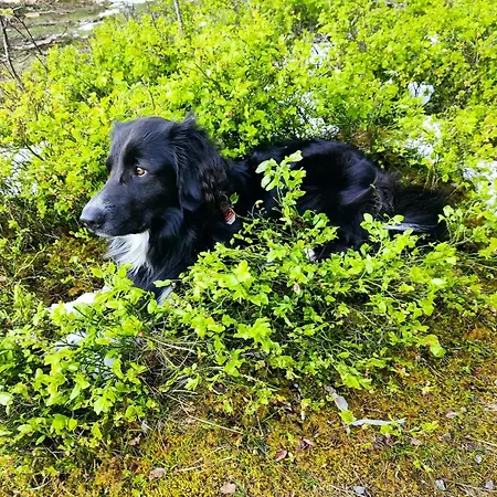 Alojamento de Turismo Rural Biobetrieb Lippenhof