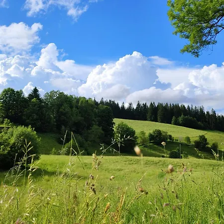 Biobetrieb Lippenhof Farmház *