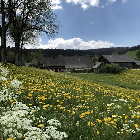Farmház Biobetrieb Lippenhof Breitnau