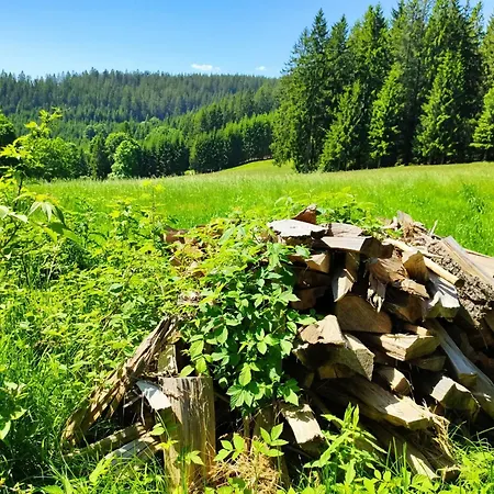 Farmház Biobetrieb Lippenhof